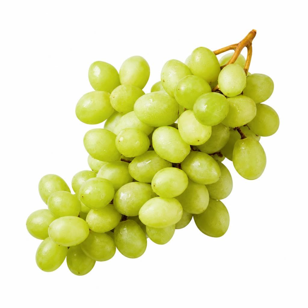 Bio Trauben hell kernlos, 500 g – Lidl